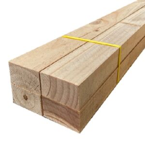 뉴송 투바이 (51*81*3600) 12자